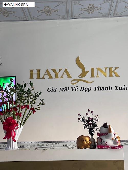 Hình ảnh HAYALINK SPA